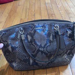 Coach snakeskin crossbody